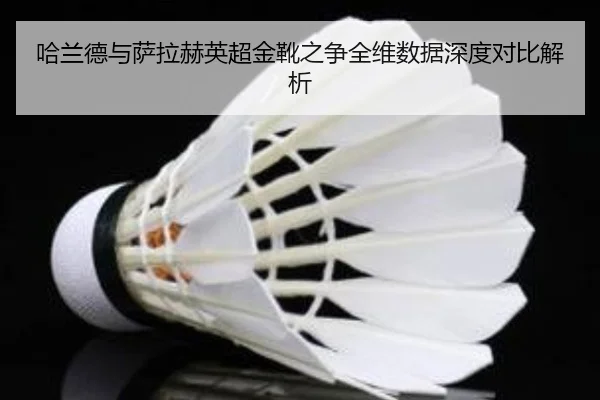 哈兰德与萨拉赫英超金靴之争全维数据深度对比解析