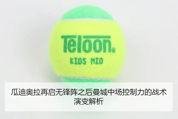 img_1782650337856_1823_0_539.jpg