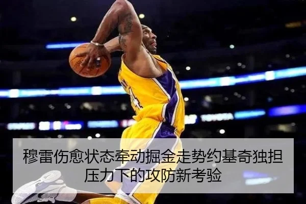 穆雷伤愈状态牵动掘金走势约基奇独担压力下的攻防新考验